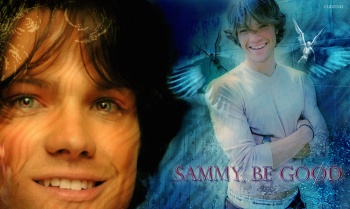 Sammy, be good