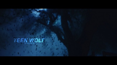 Teen Wolf [season 6]